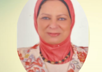 Engineer     Laila Abdel Majeed Amer Al-Azali
                            