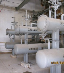  Chlorine Processing
                    